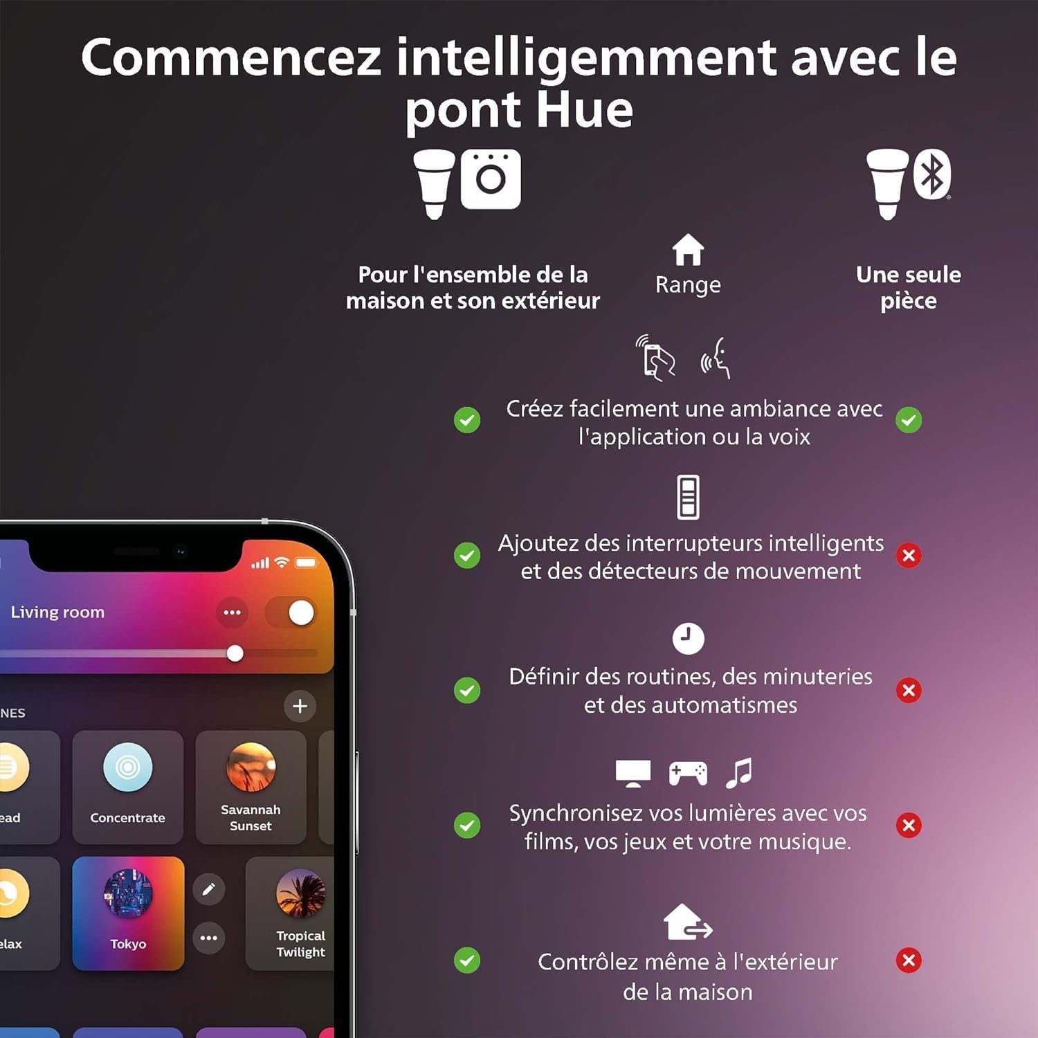 Pack Philips Hue (2 Ampoules Color + 1 Pont Bridge)