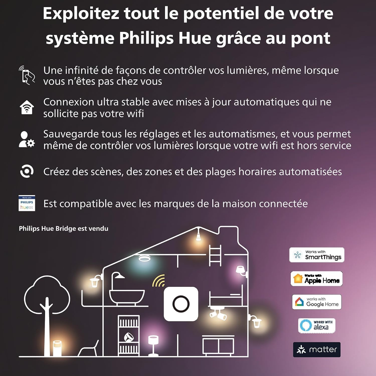 Pack Philips Hue (2 Ampoules Color + 1 Pont Bridge)