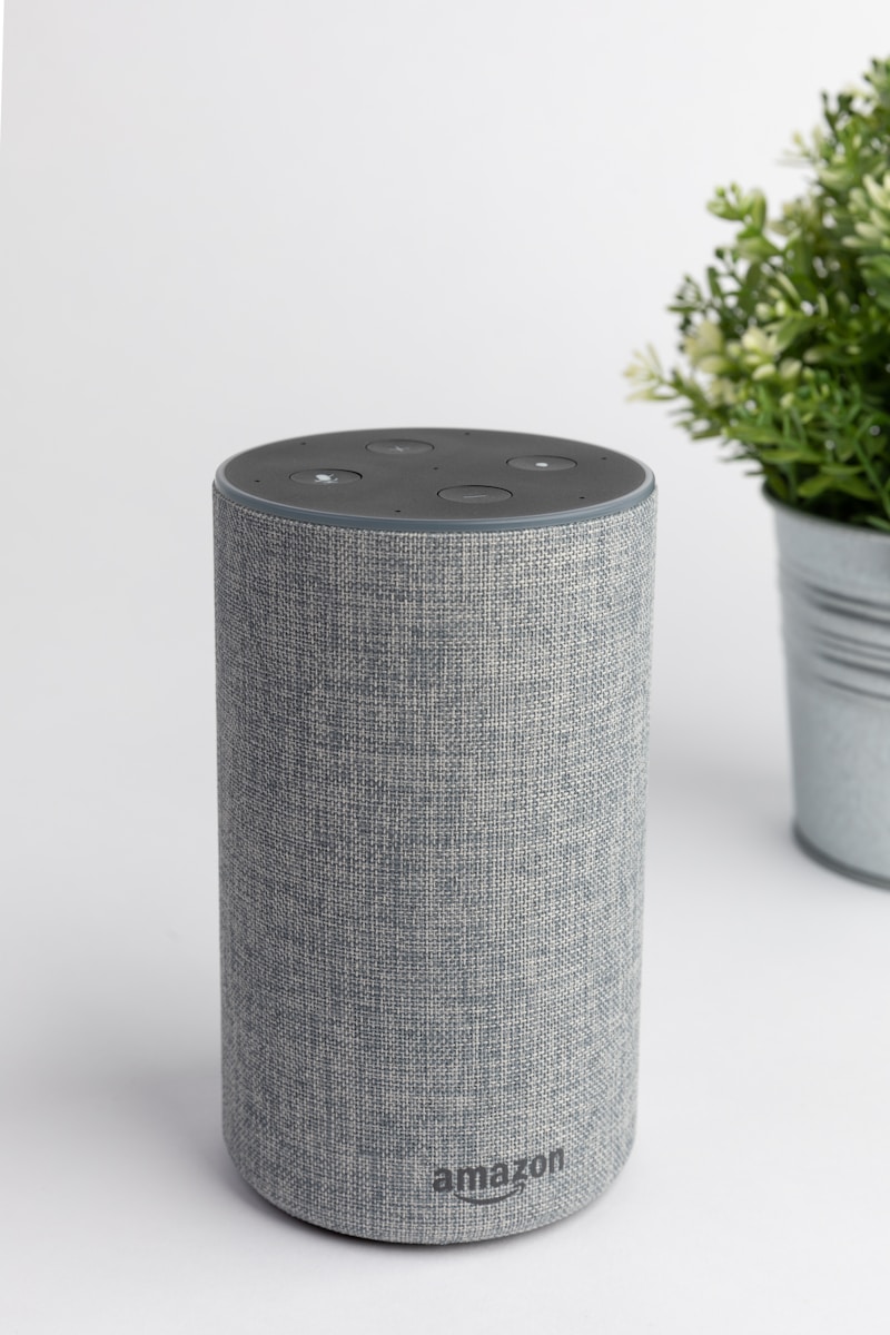 Echo Dot Max
